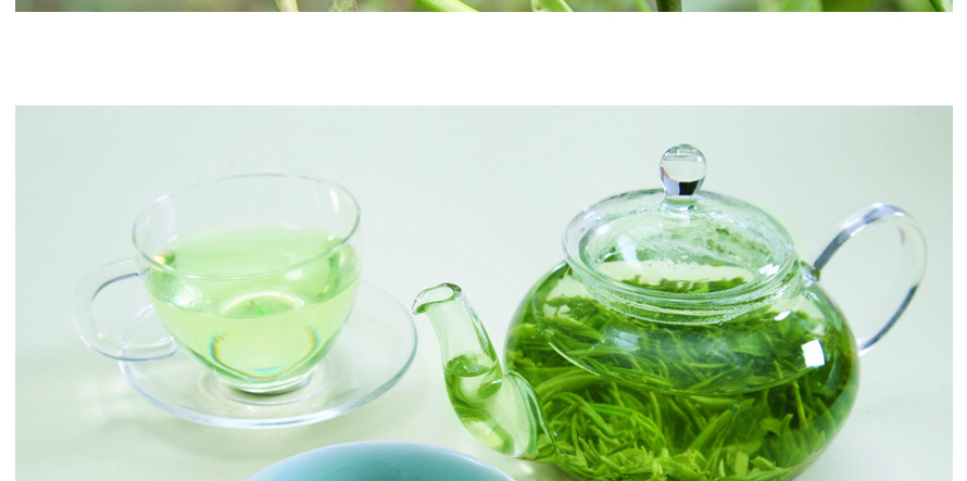 康師傅綠茶促銷員工制服設(shè)計成功案例
